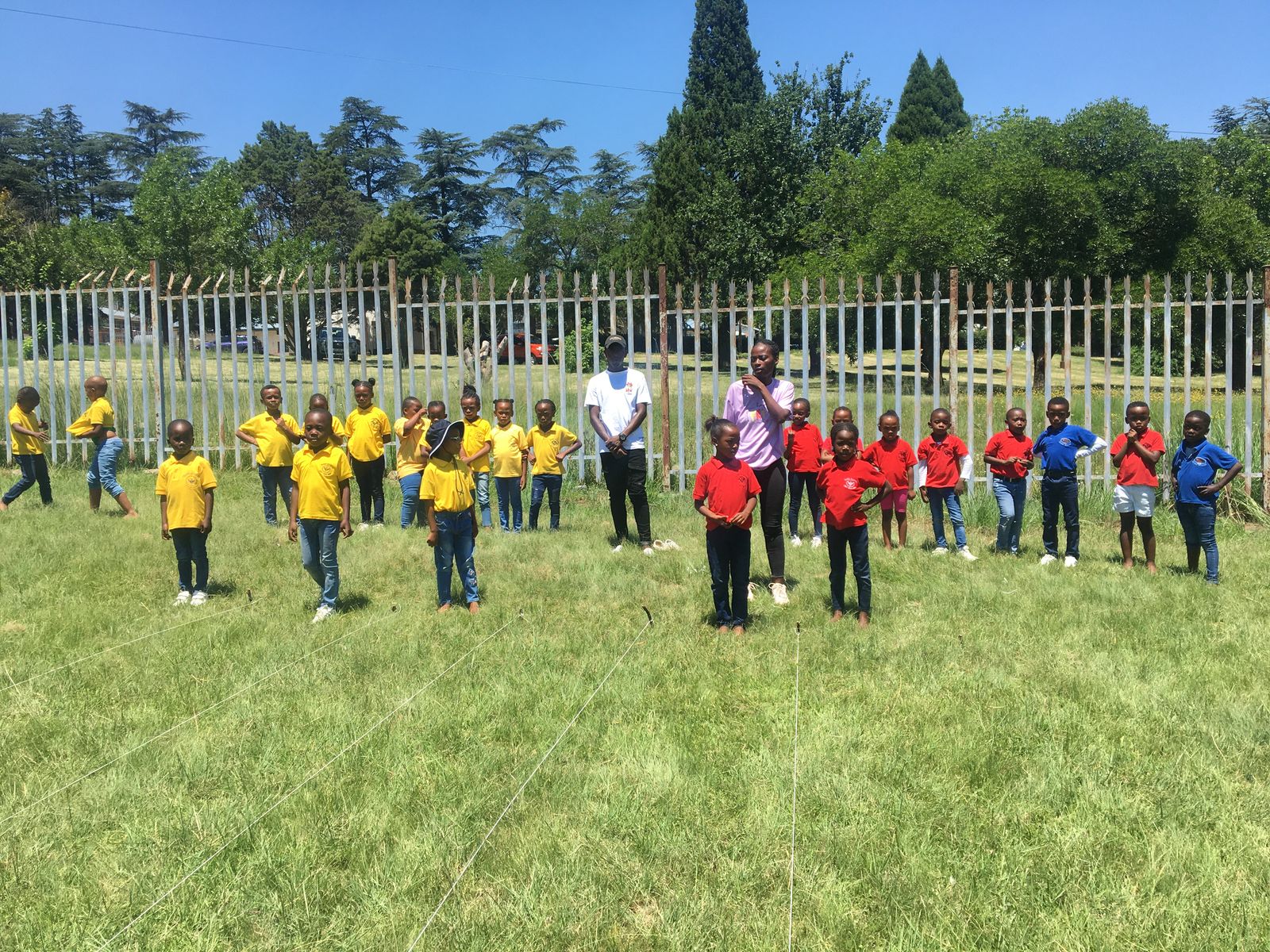 WhatsApp Image 2025-03-13 at 08.42.23 (1)